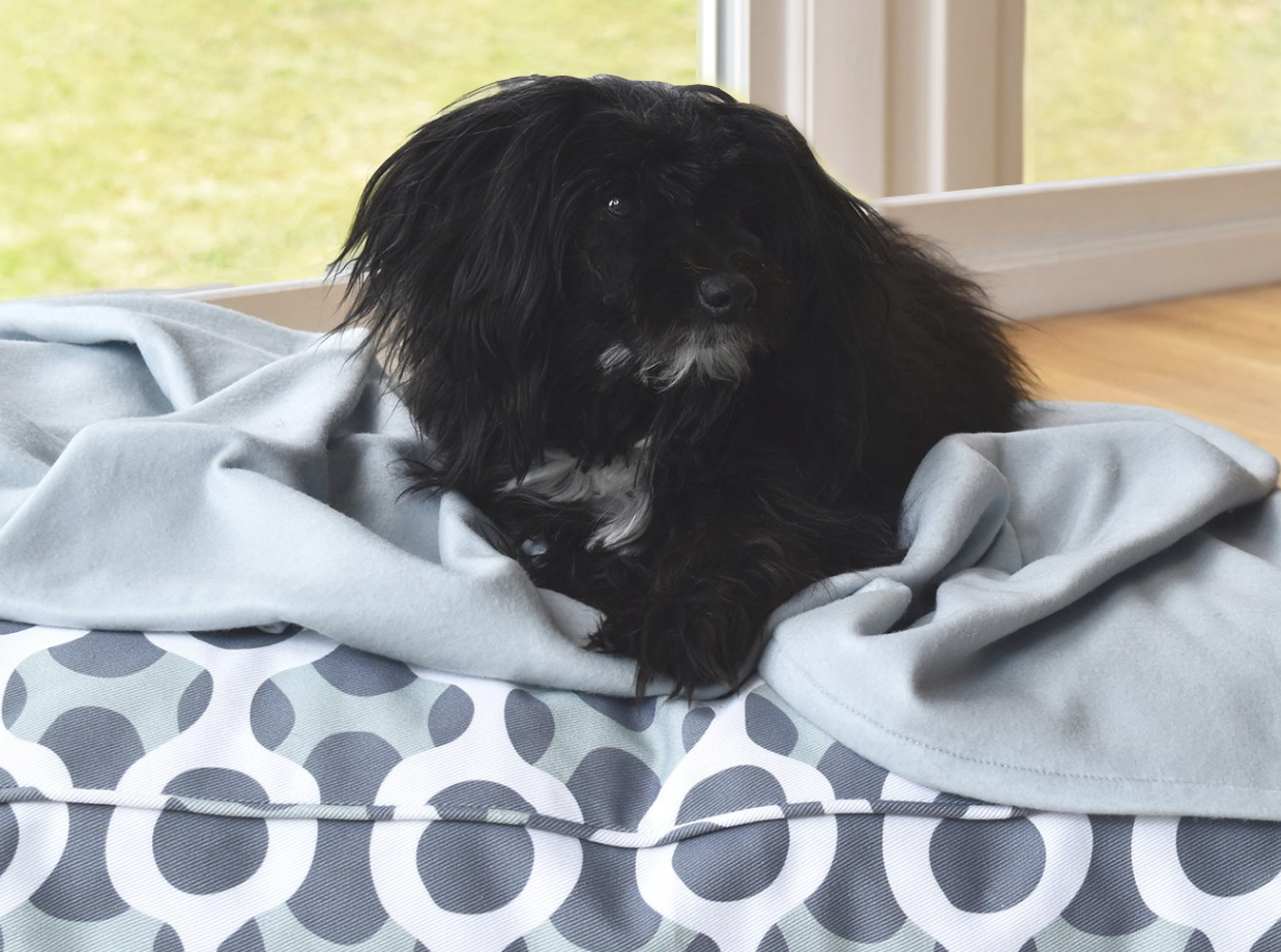 Biggs Dog Bed and Blanket Set